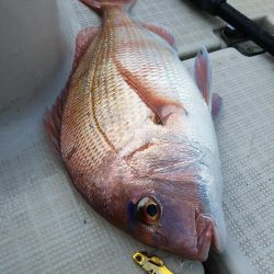 ルアーフィッシング