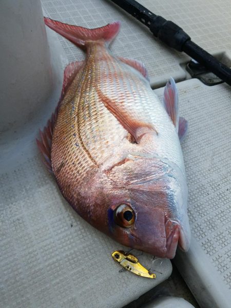 ルアーフィッシング