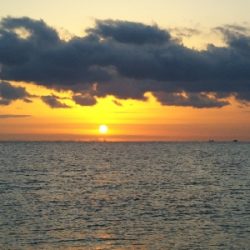 阿南市の那賀川河口でタチウオ