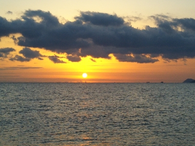 阿南市の那賀川河口でタチウオ