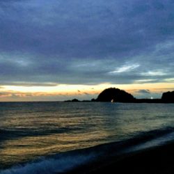 大里松原海岸 初モンゴウイカ 500G