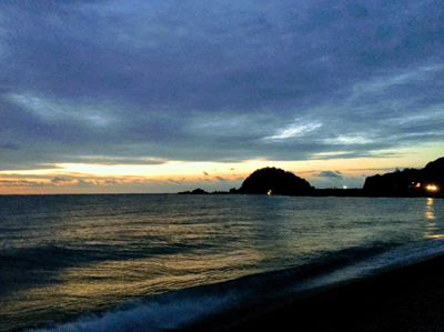 大里松原海岸 初モンゴウイカ 500G