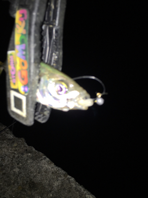 癒しのアジング