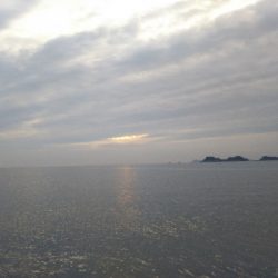 阿南市の那賀川河口でタチウオ