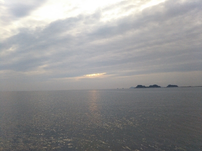 阿南市の那賀川河口でタチウオ