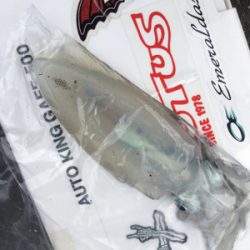 修行が足りてません