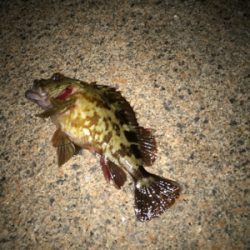 寒さに負けず！