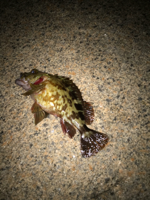 寒さに負けず！