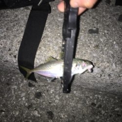 久しぶりに後輩くんと