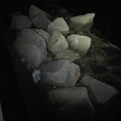 今シーズンのメバル狙い