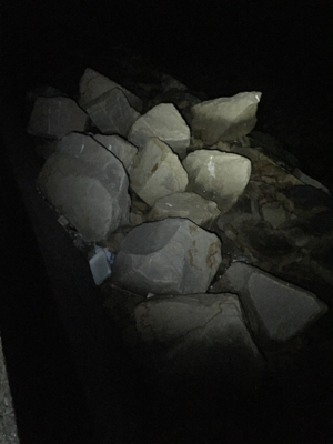 今シーズンのメバル狙い