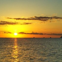 阿南市の那賀川河口でタチウオ