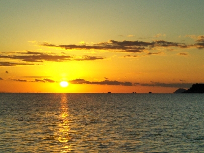 阿南市の那賀川河口でタチウオ