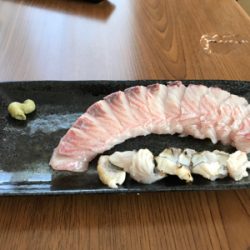 釣り納め