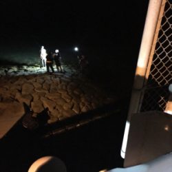 サイズが出ない