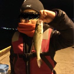 子供とメバリング