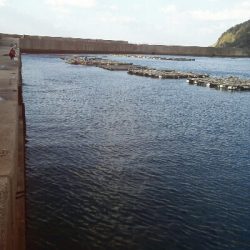 2017年12月21日釣行in野北漁港