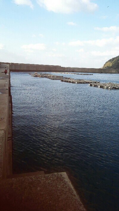 2017年12月21日釣行in野北漁港