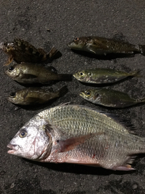 ちょっとだけよ