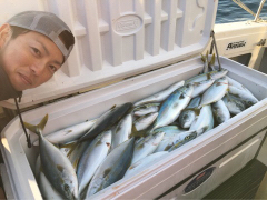 ルアーフィッシング エビス 日本海ジギング