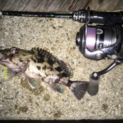 newエステルラインで！