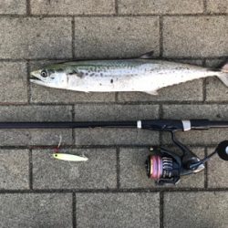 最後か？少し復調