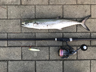 最後か？少し復調