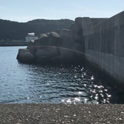 今年最後のエギング。まずはすさみで