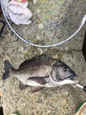 灘浜 3.4番間 フカセ