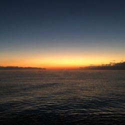 大里松原海岸 アオリイカ 1kg