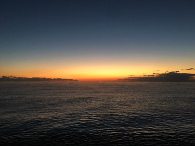 大里松原海岸 アオリイカ 1kg