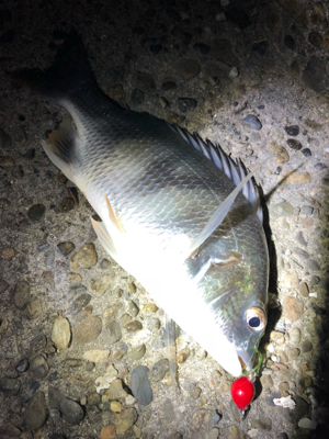 冬チニング開幕‼︎