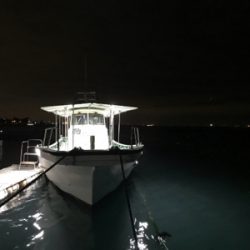 須磨沖の太刀魚