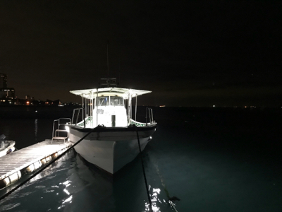 須磨沖の太刀魚