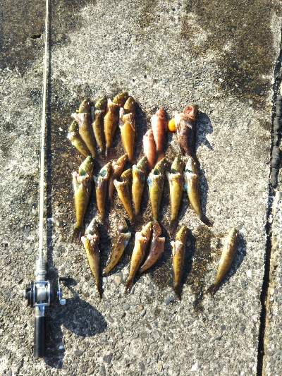 南房総トリップ