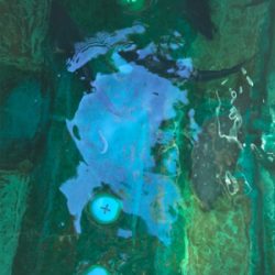 孝洋丸で落とし込み