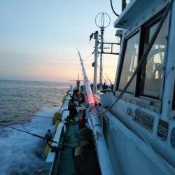 釣り納めイカメタル