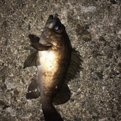 陽が落ちてから。