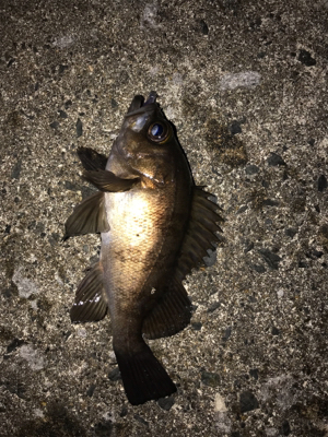 陽が落ちてから。