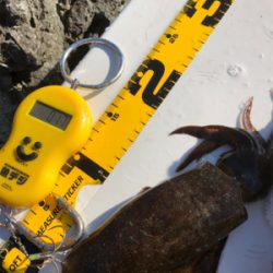 2017年の締めくくり