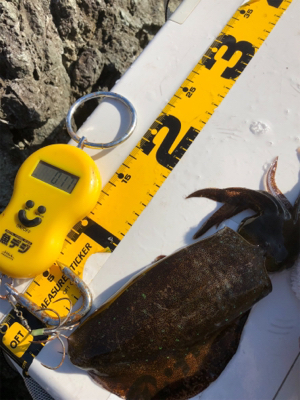 2017年の締めくくり