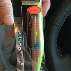 シーバス釣り納め‼︎