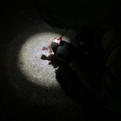 年末恒例 帰省しての釣り納め