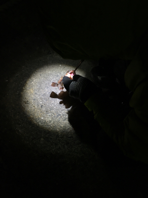 年末恒例 帰省しての釣り納め