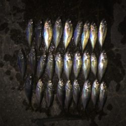 激渋パターン攻略！