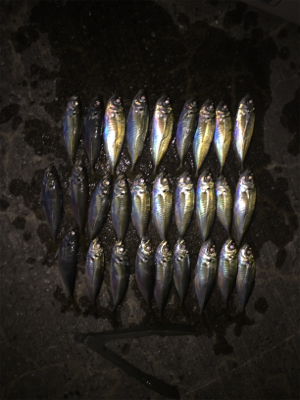 激渋パターン攻略！