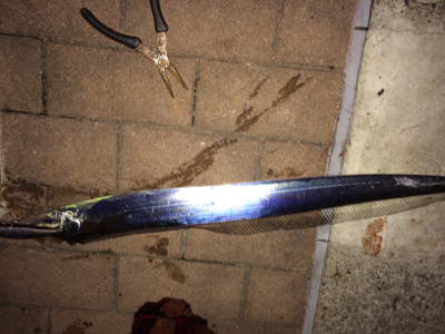 釣り納め２回目