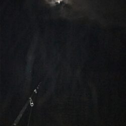 年内キロUP達成！