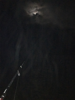 年内キロUP達成！