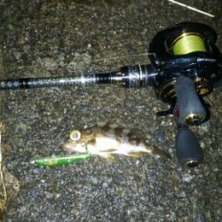 極寒のライトゲーム